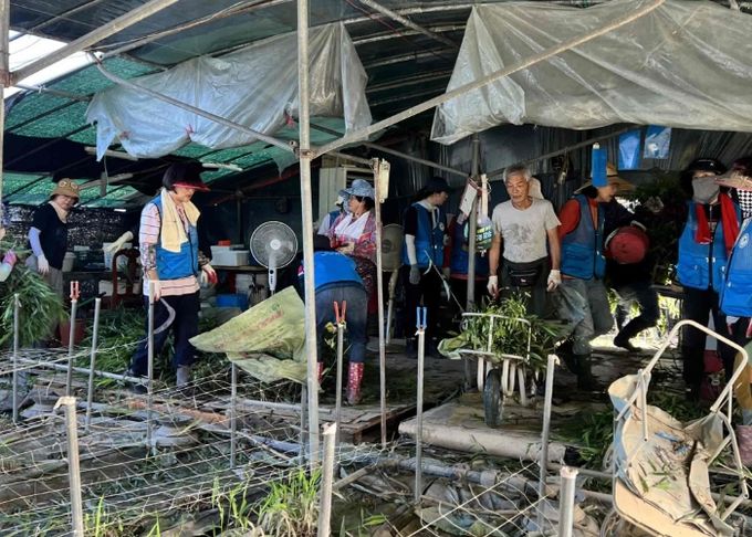 밀양시자원봉사센터와 자원봉사단체협의회가 침수 피해를 입은 보리사초 재배 농가를 찾아 피해 복구를 돕고 있다.