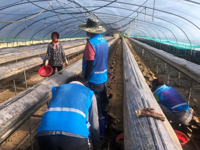 남해군 자원봉사자, 하동군 수해복구 현장에 따뜻한 손길