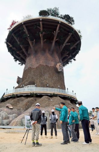 대상공원 ‘빅트리’ 현장 특별점검(250708)