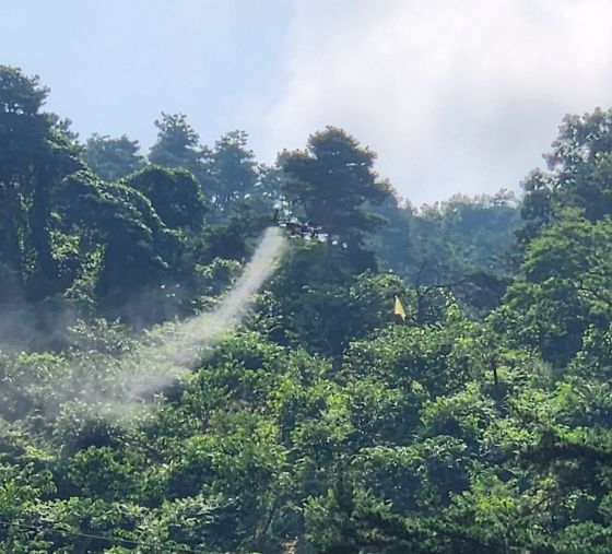 진주시, 밤나무해충 무인항공 드론방제 실시