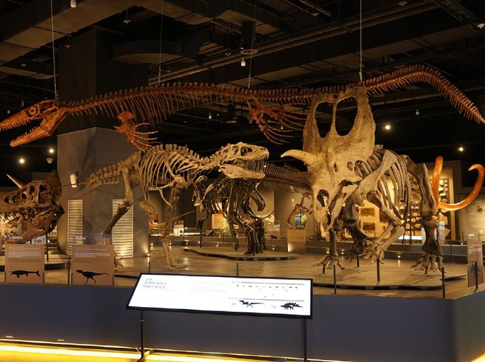 살아있는 듯 움직이는 공룡을 볼 수 있는 기회