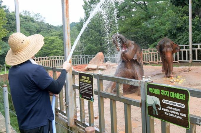 동물 여름나기 프로그램