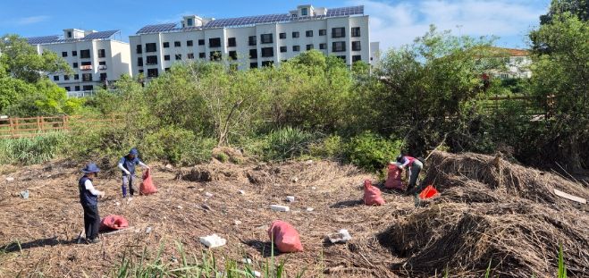 천군 환경생태해설사협회, 정양늪 환경정화활동