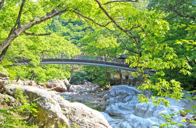 산청군 대원사계곡길