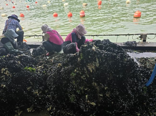 창원특례시, 패류공동생산시설 지원 해수부 공모사업 선정