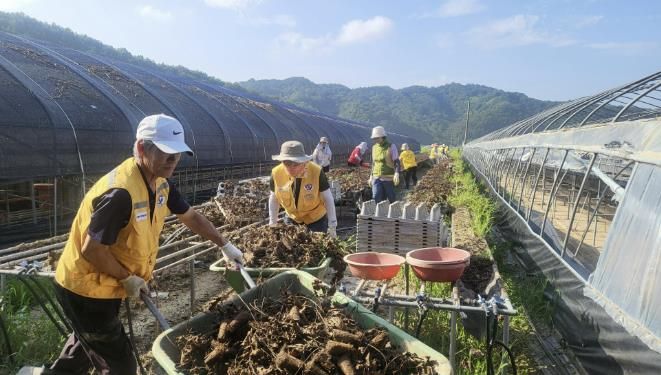 남해군적십자봉사회, 산청 수해복구 현장 구슬땀