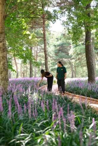 단성면 묵곡생태숲(성철공원) 내 황토 건강길