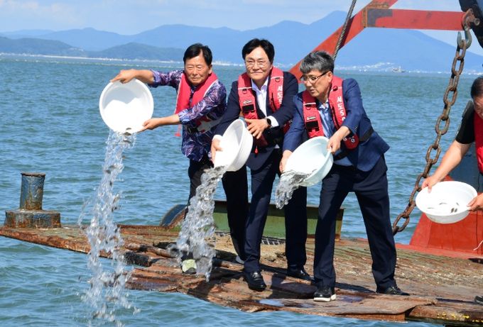 강화군, 조피볼락 종자 61만 마리 방류