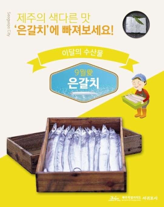 '9월의 수산물 은갈치' 홍보물