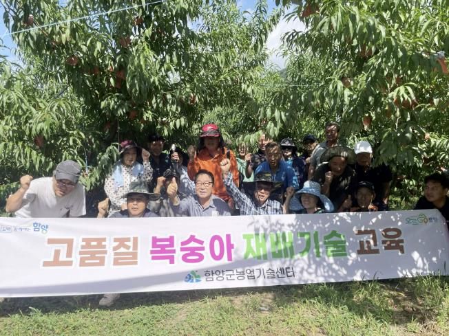 함양군, 만생복숭아 수확기 재배기술 교육 실시