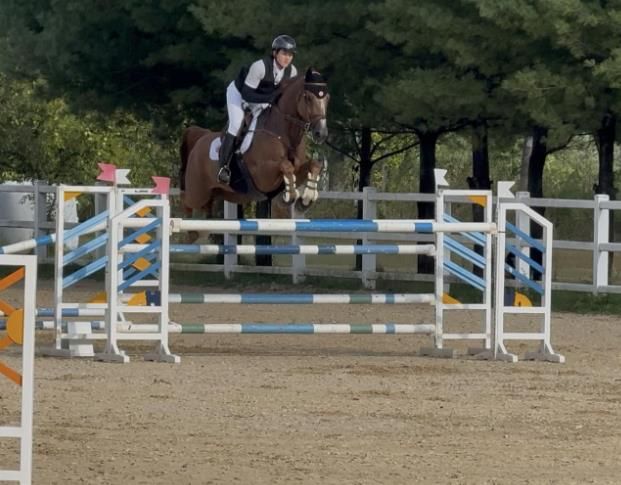 광주광역시승마협회 소속 이정우(광주고)가 장애물 경기를 펼치고 있다.