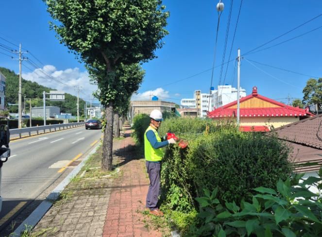사천시, 추석맞이 녹지․공원․산림 분야 환경정비 실시