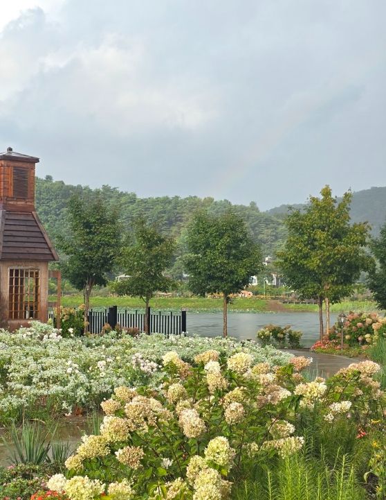 연당원 수국축제 성료