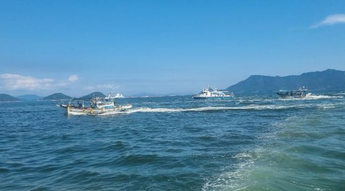 고성군 적조 일제 방제의 날, 추진으로 적조 방제 총력 대응