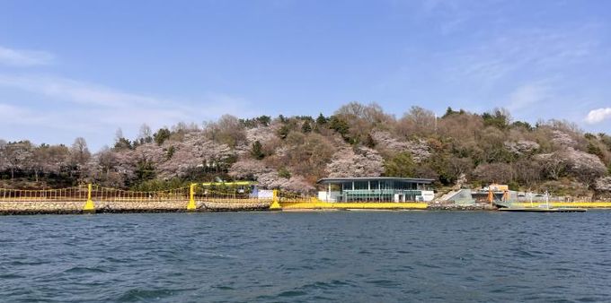 돝섬 왕복 배편, 창원시민 특별 할인 실시(관광과).