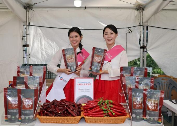 영양군 수비초, NS홈쇼핑 통해 전국 소비자 만나다!