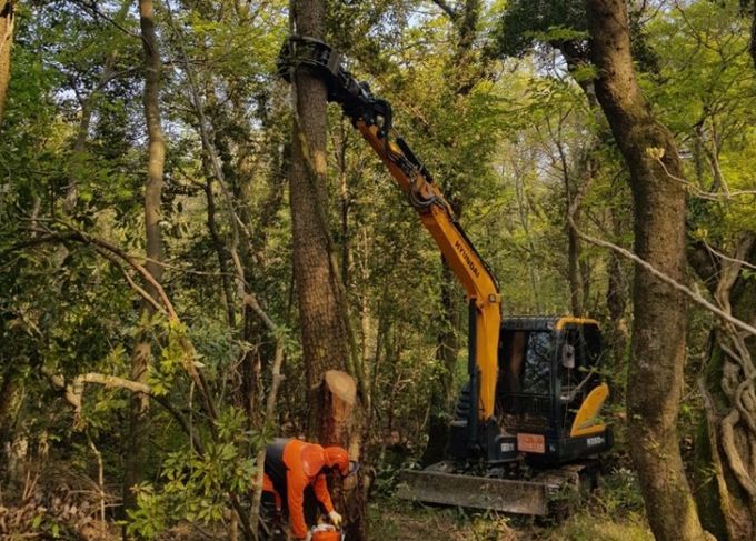 소나무재선충병 방제사업