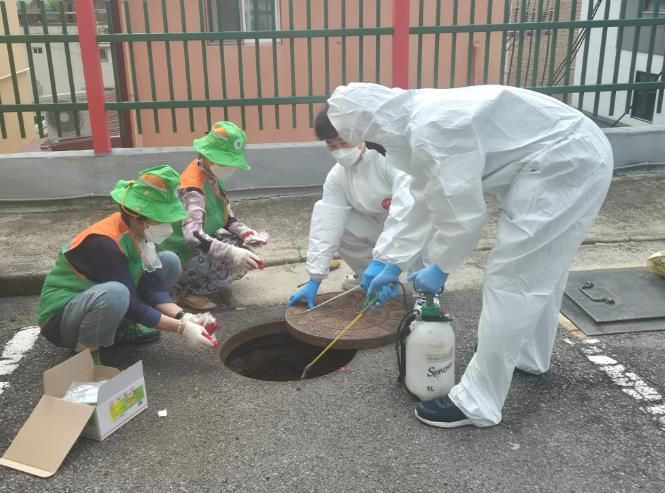 광주광역시 남구, 환절기 틈타 기승 ‘가을 모기 제거’