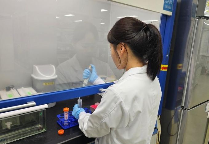 디저트류 타르색소 실태 조사