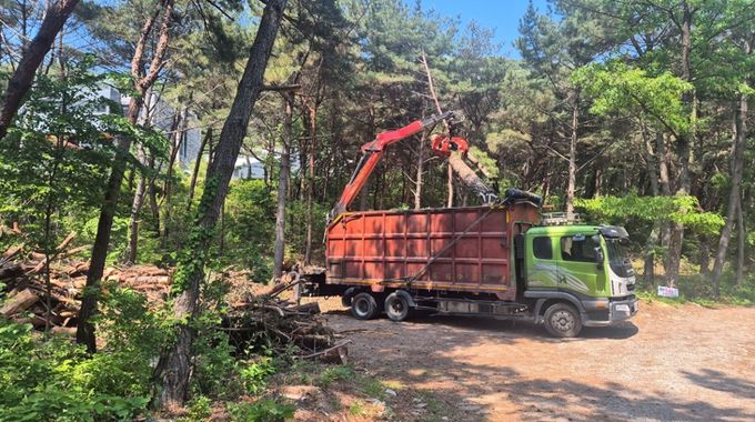 양산시, 하반기 소나무재선충병 방제 본격 착수