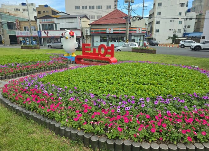 가을꽃과 함께하는 추석 맞이