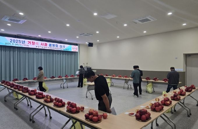 사과 품평회
