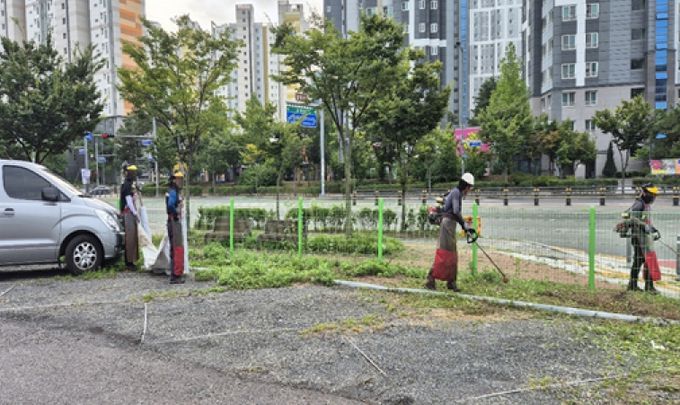 교통과-주차장 잡초
