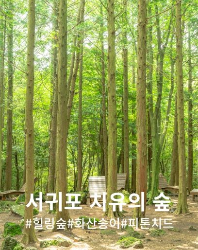 서귀포 치유의숲