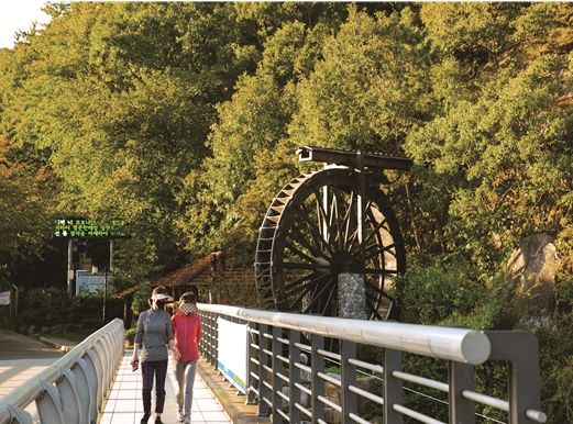 △대청계곡 누리길