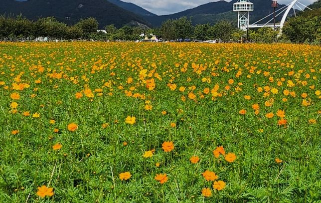 양산 황산공원’, 가을 나들이 오세요