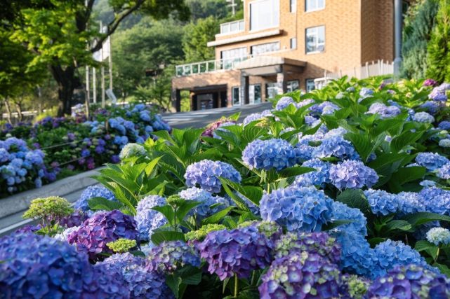 ‘월아산 숲속의 진주’ 누적 방문객 ‘150만명’ 돌파