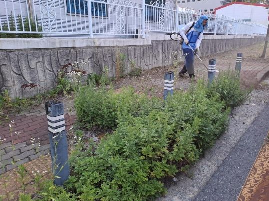 광산구가 추석을 맞아 주요 도로 예초 작업을 진행하고 있다.