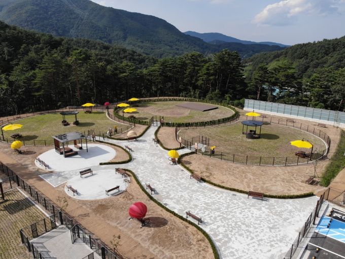 '강릉시 펫파크' 준공