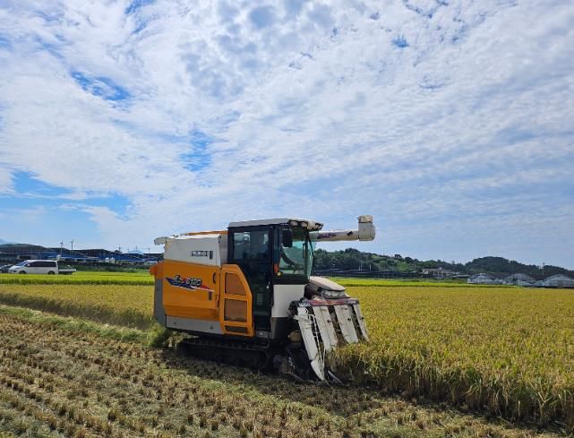 사천시, 볏짚 토양 환원으로 깨씨무늬병 피해 예방