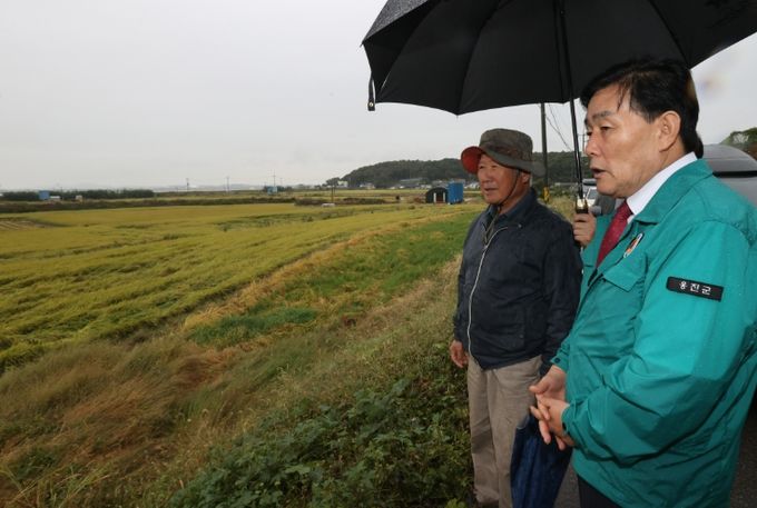 벼 도복 피해 현장 방문, 피해 최소화에 총력
