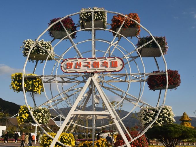 양산시, ‘2025 양산국화축제’