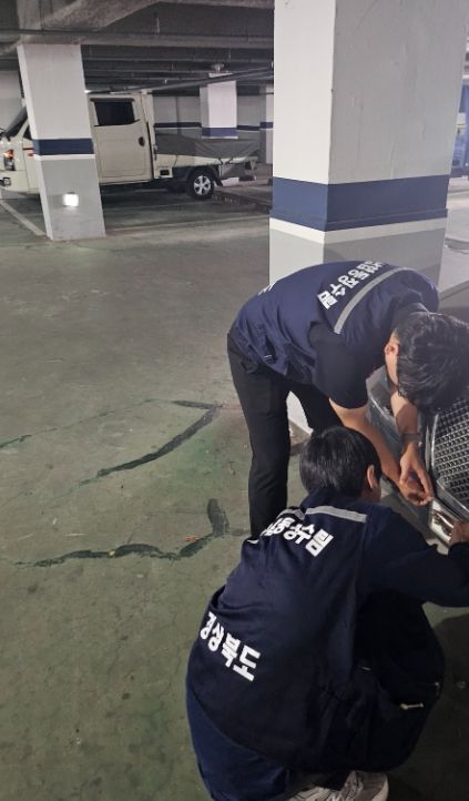 경상북도 체납합동징수팀의 체납차량 번호판 영치활동 모습