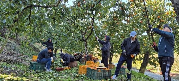 고성군, 가을철 농촌일손돕기 본격 추진