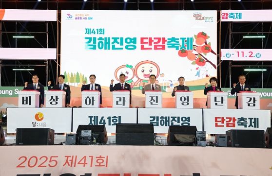 제41회 김해진영단감축제
