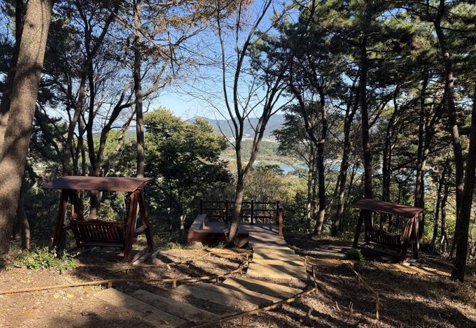 통영시, 용남면 삼봉산 힐링숲 조성사업 준공