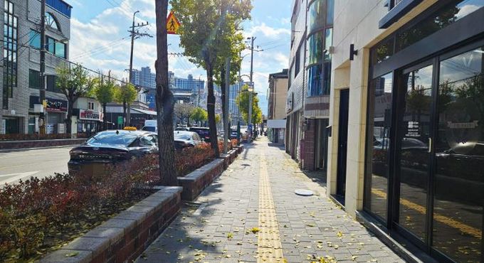 도로정온화 사업(두루침교~낙원사거리)