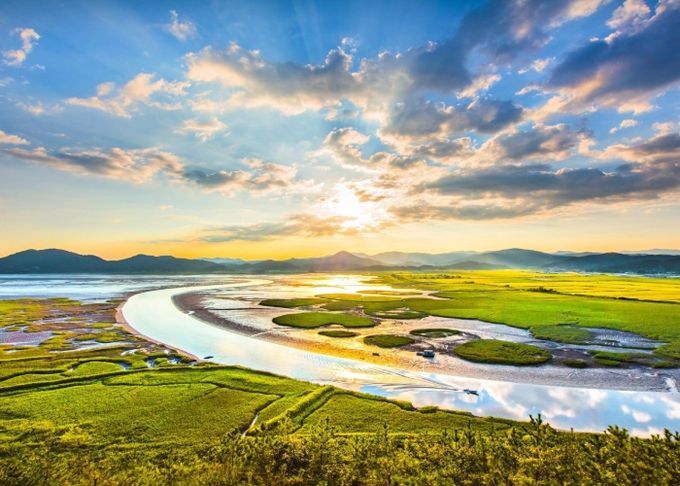 용산전망대에서 바라본 순천만습지