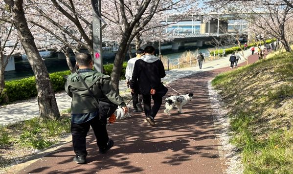 발달장애인 도그워커 활동 모습