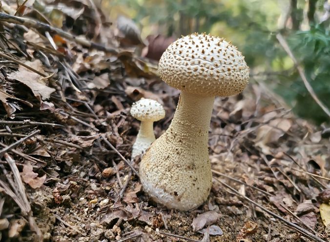 울산시, 생물다양성 사진전시회