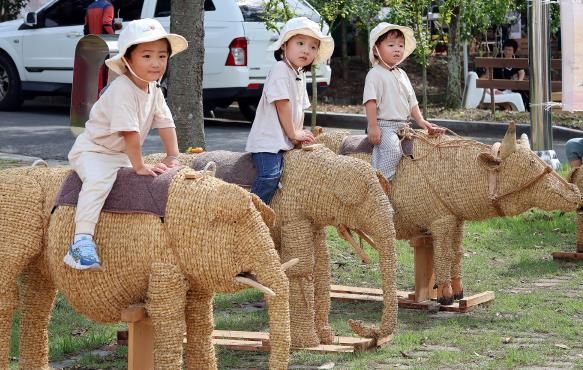 완주와일드&로컬푸드축제, 전북 최우수 축제 선정