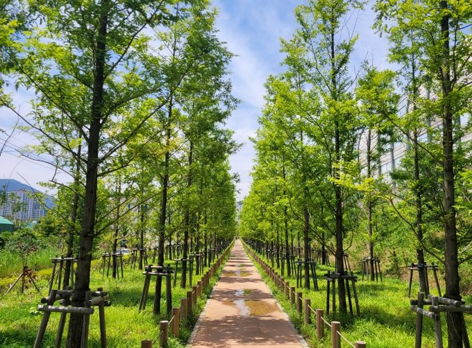 김해시 녹색도시 공모전 최우수 기관 선정