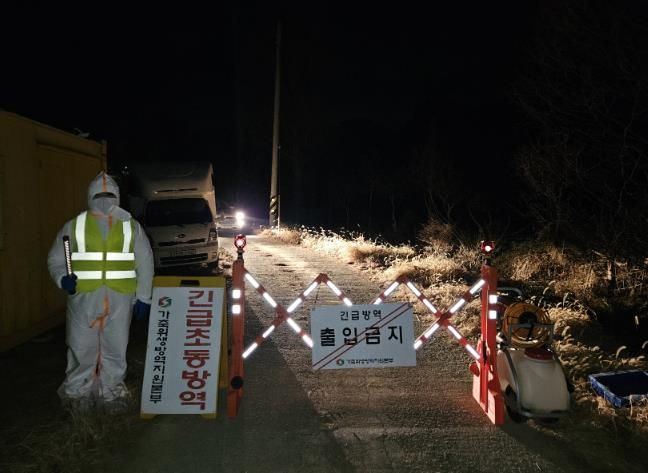 농장 반역 사진