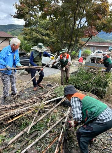 무주군, 산림 분야 일자리 창출, 공공산림관리단 등 7개 분야 102명 모집