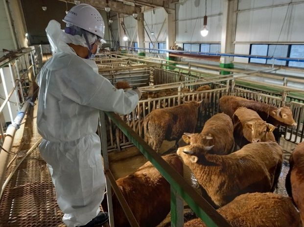 충북도, 설 명절 대비 축산물 안전성 검사
