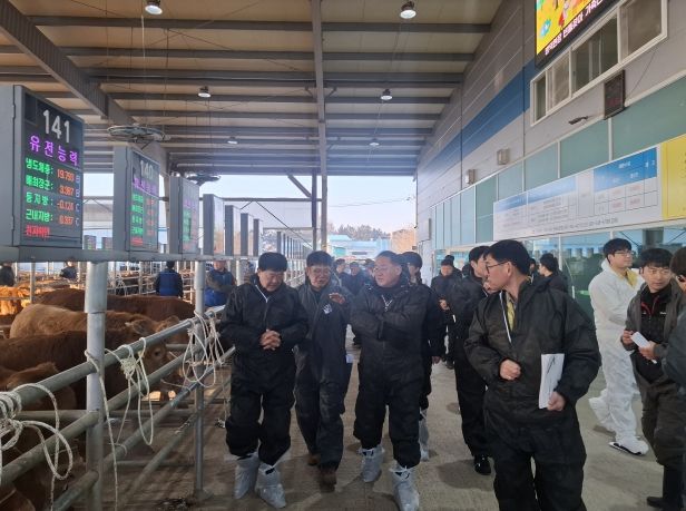 전북자치도, 김제 가축시장 찾아 한우 거래 현장 점검…축산농가 애로 청취